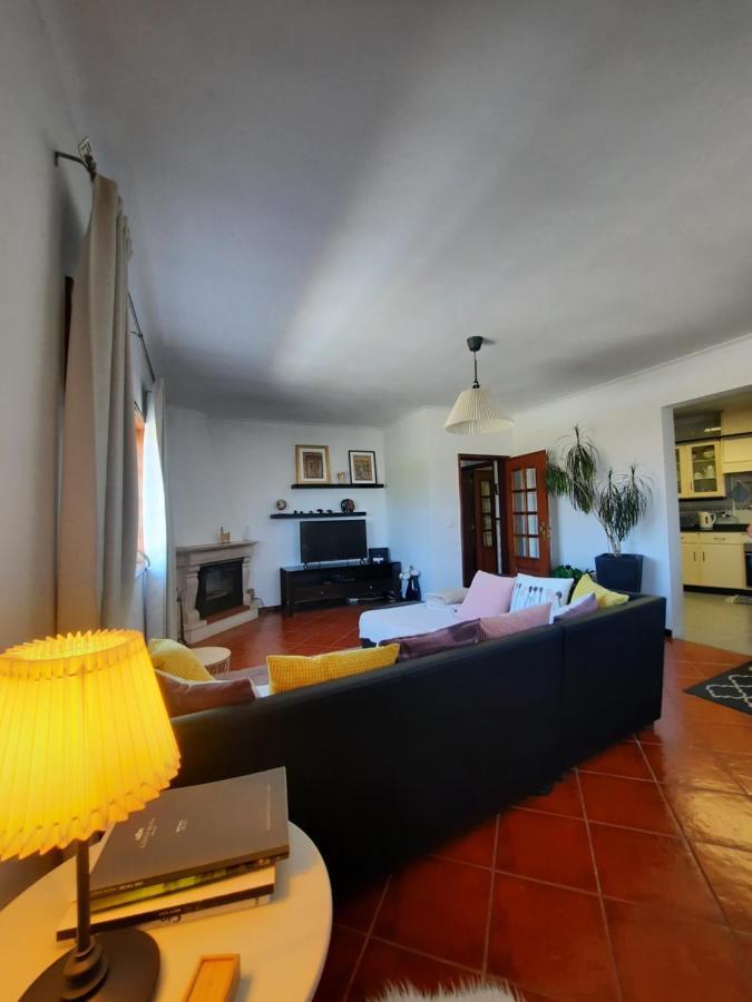 Casa Das Camelias Aveiro Exteriér fotografie