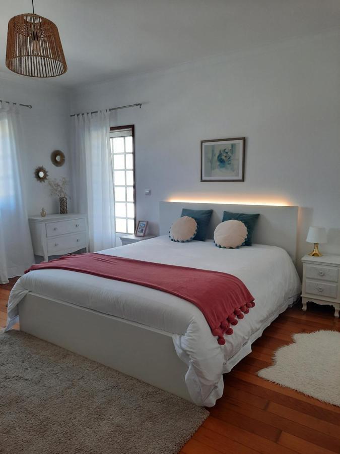 Casa Das Camelias Aveiro Exteriér fotografie