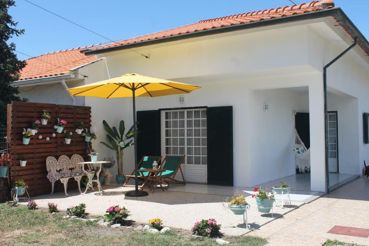 Casa Das Camelias Aveiro Exteriér fotografie